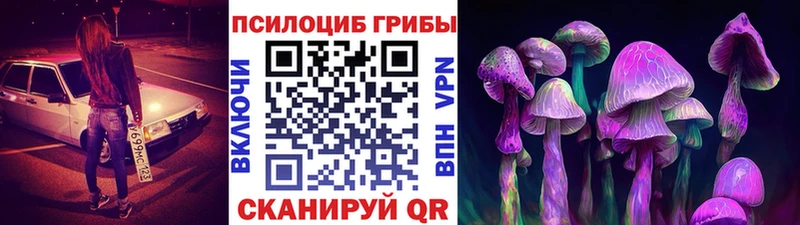 Псилоцибиновые грибы ЛСД  кракен сайт  Талдом 